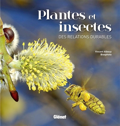 Plantes et insectes : des relations durables