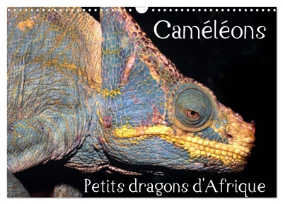 Caméléons : Petits dragons d'Afrique. (Calendrier mural 2025 DIN A3 vertical), CALVENDO calendrier mensuel : Douze portraits extraordinaires des plus surprenantes espèces de caméléons.
