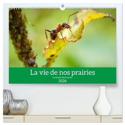 La vie de nos prairies : Le monde des fourmis (Calendrier mural 2026 DIN A2 vertical) calendrier de bureau : Voici un petit regard sur la vie fascinante des fourmis