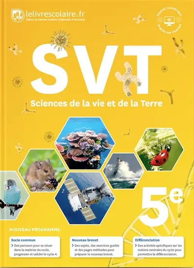 SVT 5e