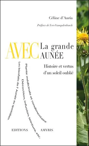 Avec la grande aunée : histoire et vertus d'un soleil oublié