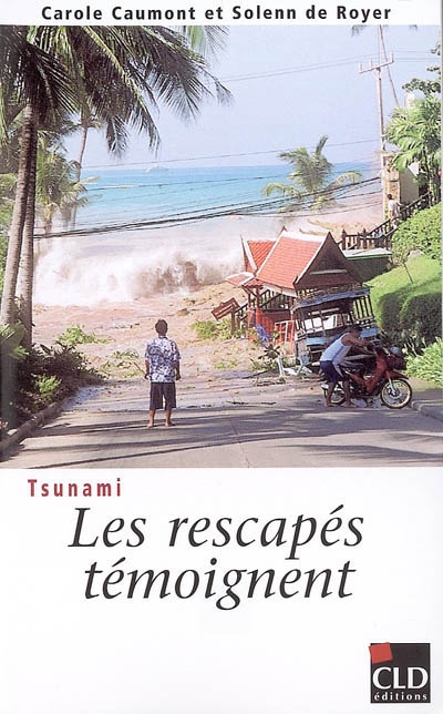 Tsunami : les rescapés témoignent