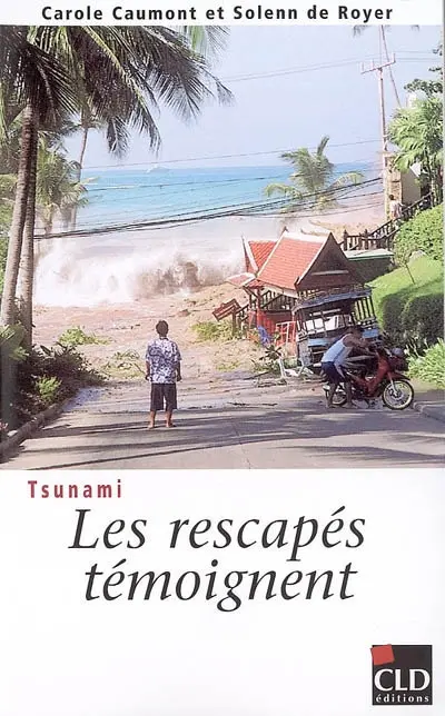 Tsunami : les rescapés témoignent