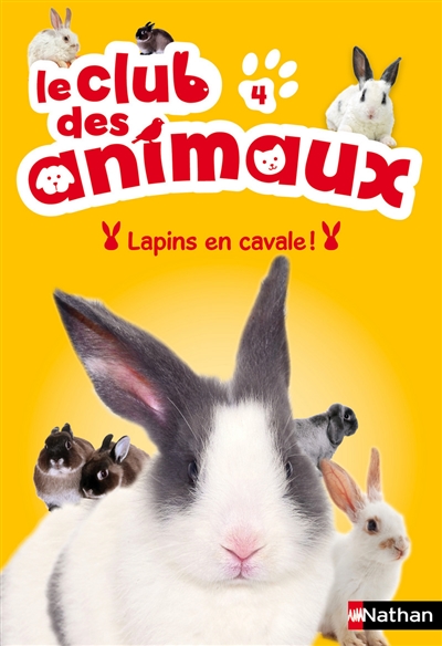 Lapins en cavale !