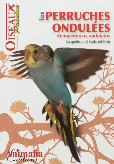 Les perruches ondulées : melopsittacus undulatus