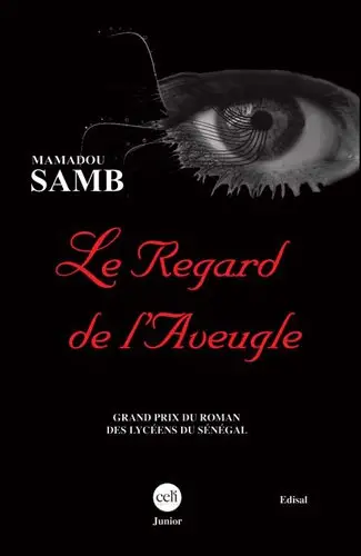 Le regard de l'aveugle