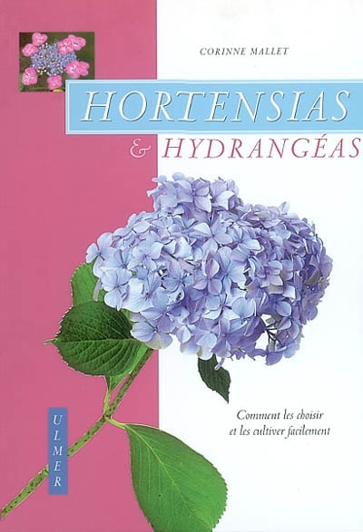 Hortensias et hydrangéas