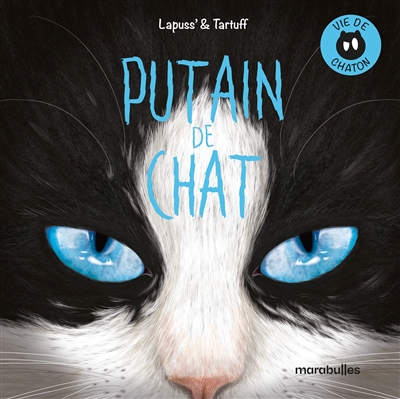 Putain de chat. Vol. 13