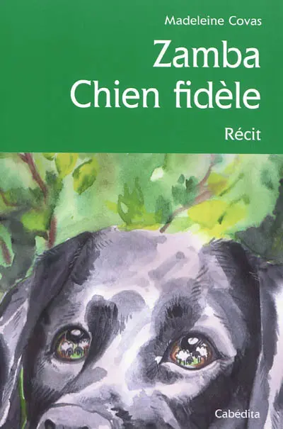 Zamba chien fidèle : récit