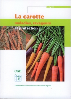 La carotte : maladies, ravageurs et protection