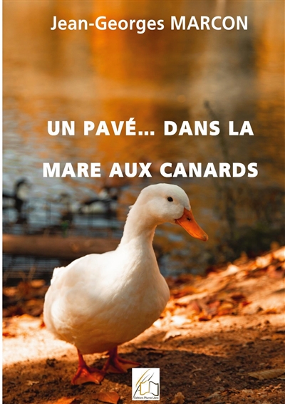 Un pavé... dans la mare aux...