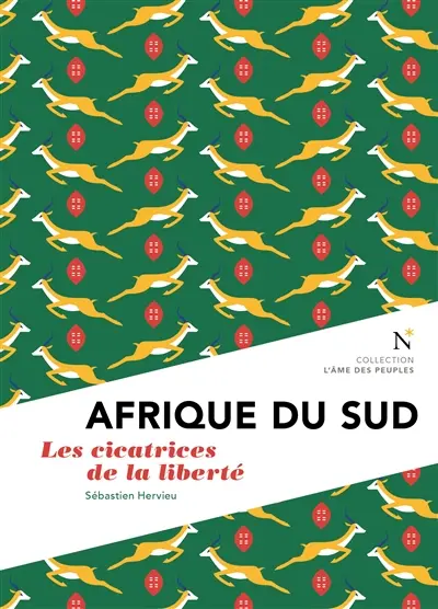 Afrique du Sud : les cicatrices de la liberté