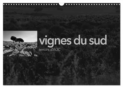 VIGNES DU SUD terroirs d'AOC (Calendrier mural 2026 DIN A3 vertical), CALVENDO calendrier mensuel : Paysages des terroirs viticoles AOC du sud de la France