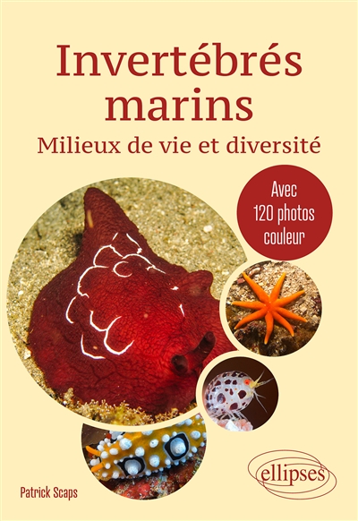 Invertébrés marins : milieux de vie et diversité : avec 120 photos couleur