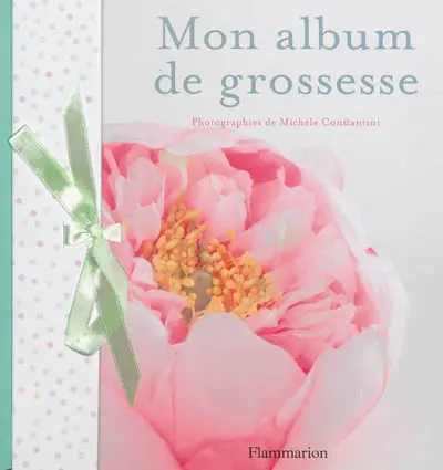 Mon album de grossesse