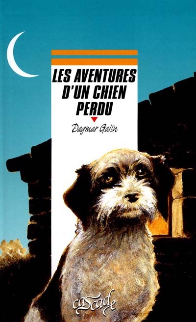 Les aventures du chien perdu