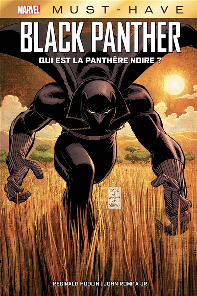 Black Panther. Qui est la Panthère noire ?
