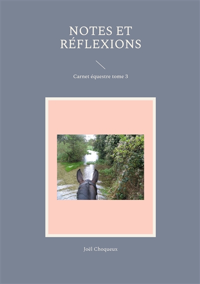 Notes et réflexions :...