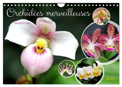 Orchidées merveilleuses (Calendrier mural 2025 DIN A4 vertical), CALVENDO calendrier mensuel : Des fleurs fascinantes d'une grande diversité