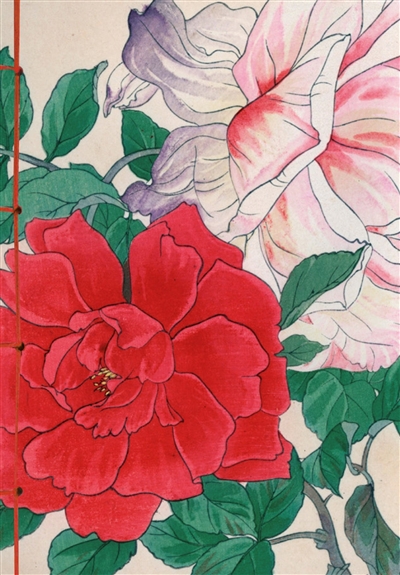 Carnet Hazan Roses dans...