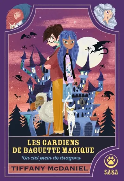 Les gardiens de baguette magique. Vol. 1. Un ciel plein de dragons Les gardiens de baguette magique. Vol. 1. Un ciel plein de dragons