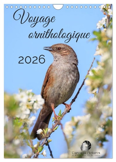 Voyage ornithologique (Calendrier mural 2026 DIN A4 horizontal), CALVENDO calendrier mensuel : Un calendrier fascinant qui vous fait explorer, mois après mois, la beauté et la diversité des oiseaux à travers le monde.