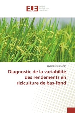 Diagnostic de la...
