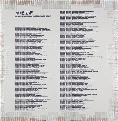 Yang Li and Antoine d´Agata : Too Much But Not Enough (English / Mandarin edition) : Limited edition of 300