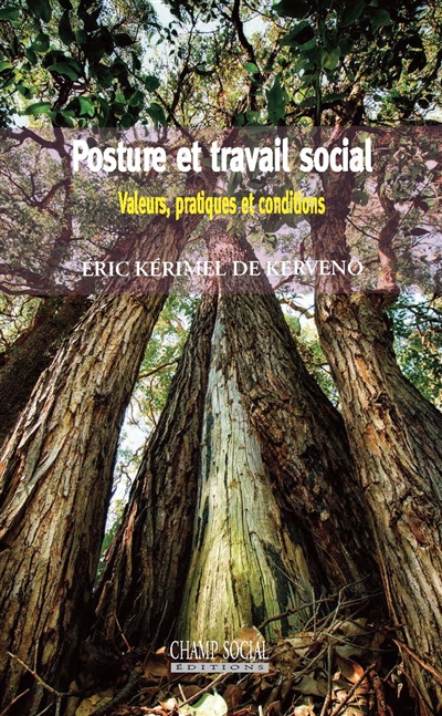 Posture et travail social :...