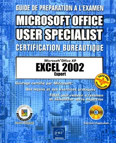 Excel 2002 expert