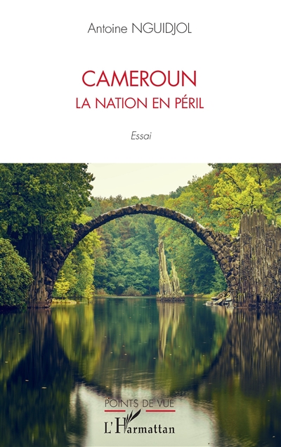 Cameroun : la nation en péril : essai