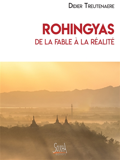 Rohingyas : de la fable à la réalité - Didier Treutenaere