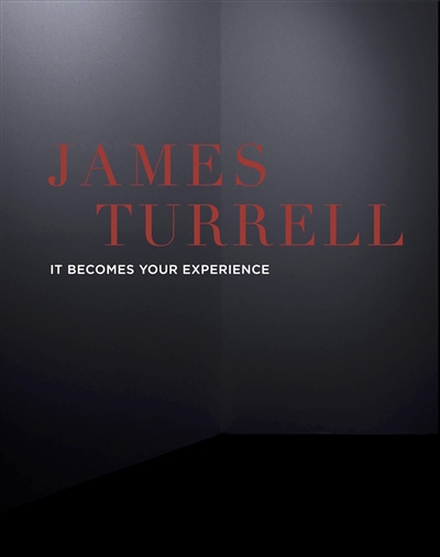 James Turrell : it becomes your experience