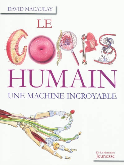 Le corps humain, une machine incroyable