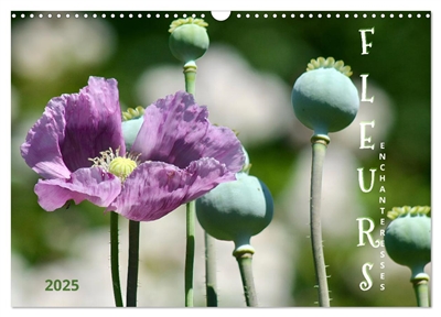 DES FLEURS ENCHANTERESSES...