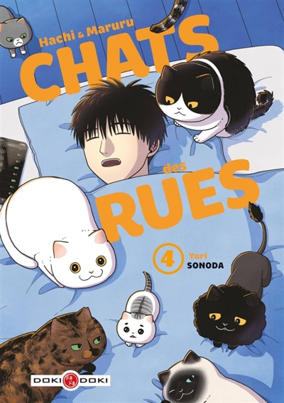 Chats des rues : Hachi & Maruru - TOME 4