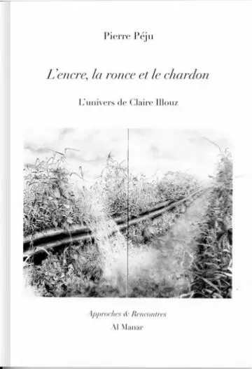 L'encre, la ronce et le chardon : l'univers de Claire Illouz