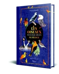 Les oiseaux remarquables de France