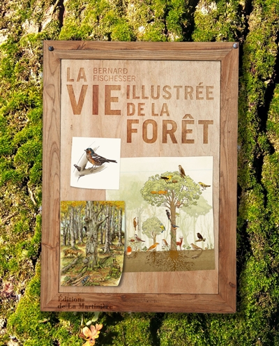 La vie illustrée de la forêt