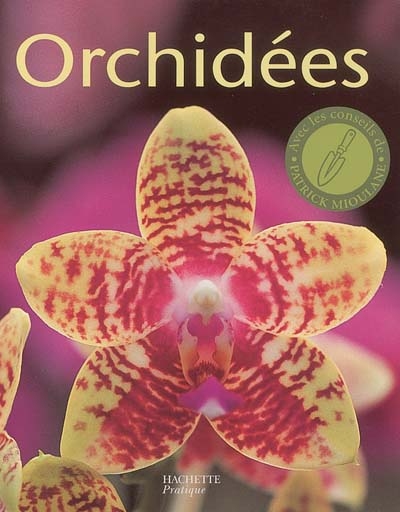 Orchidées : des variétés pour l'appartement, la véranda et la serre : les conseils de spécialistes pour l'achat, l'entretien et la multiplication
