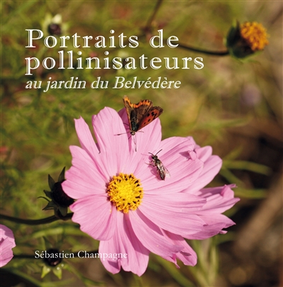 Portraits de pollinisateurs : au jardin du Belvédère