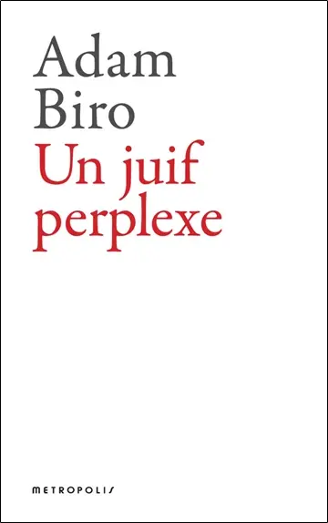 Un Juif perplexe : réflexions sur ma judéité
