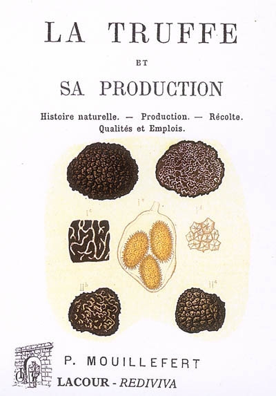 La truffe et sa production...