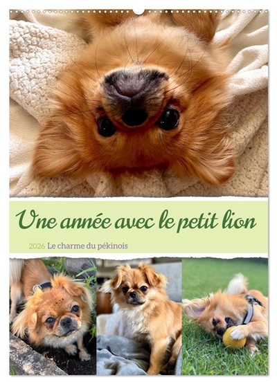 Une année avec le petit...