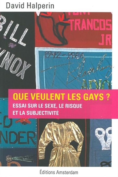 Que veulent les gays ? : essai sur le sexe, le risque et la subjectivité