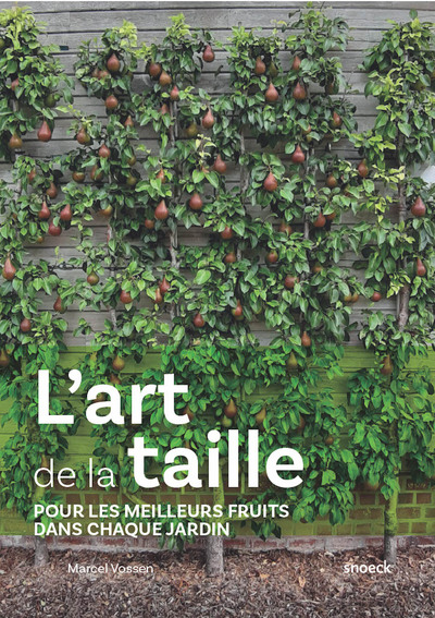 L'art de la taille des fruitiers : pour récolter de superbes fruits dans votre jardin
