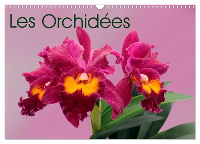 Les Orchidées (Calendrier...