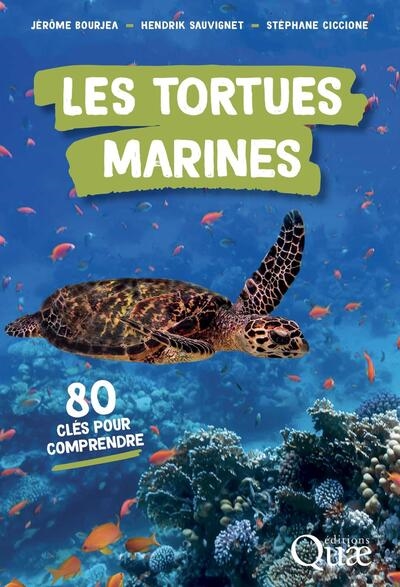 Les tortues marines : 80 clés pour comprendre