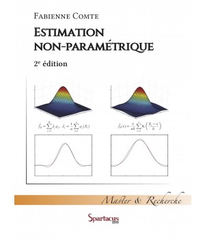 Estimation non-paramétrique