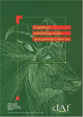 Le gisement paléolithique moyen de la grotte des Cèdres : le Plan-d'Aups, Var